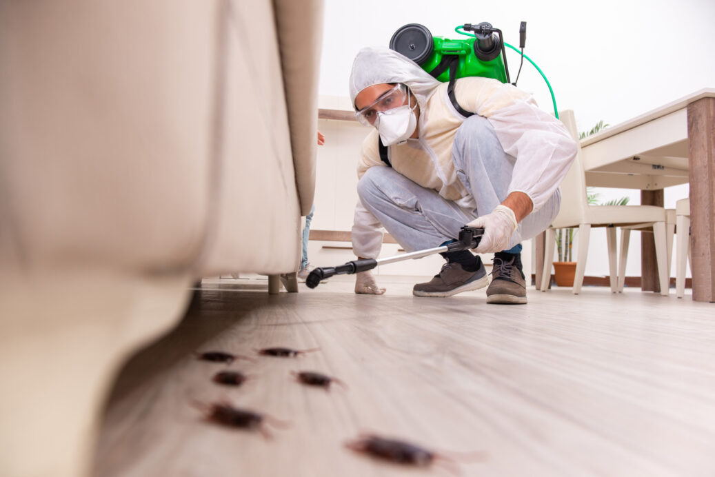 What Are the Costs Associated With Emergency Pest Control?