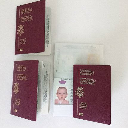 How to Create a Custom French Passport Template