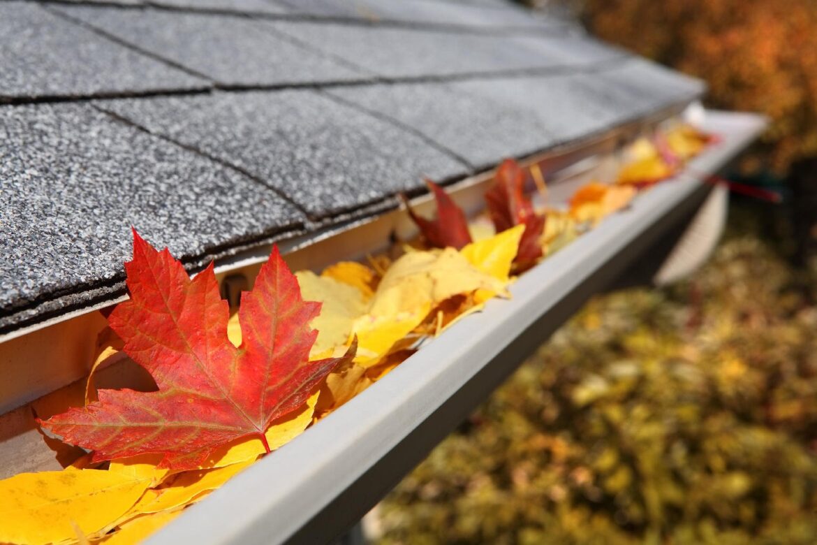 Gutter Cleaning KC – How to Do it Yourself Safely