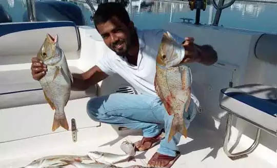 Eco-Friendly Boat Tours in Dubai: Enjoying the Sea Sustainably